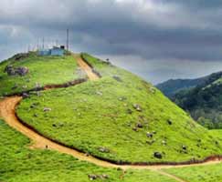 Trip To Munnar