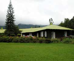 Honeymoon Tour To Munnar