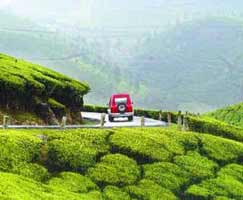 Tour Package In Munnar