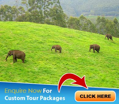 Munnar Tour Packages