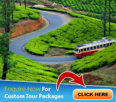 Munnar Tour Packages